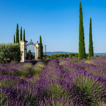 Coquillade Provence - Relais & Chateaux Hotel